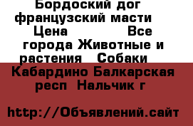 Бордоский дог ( французский масти)  › Цена ­ 50 000 - Все города Животные и растения » Собаки   . Кабардино-Балкарская респ.,Нальчик г.